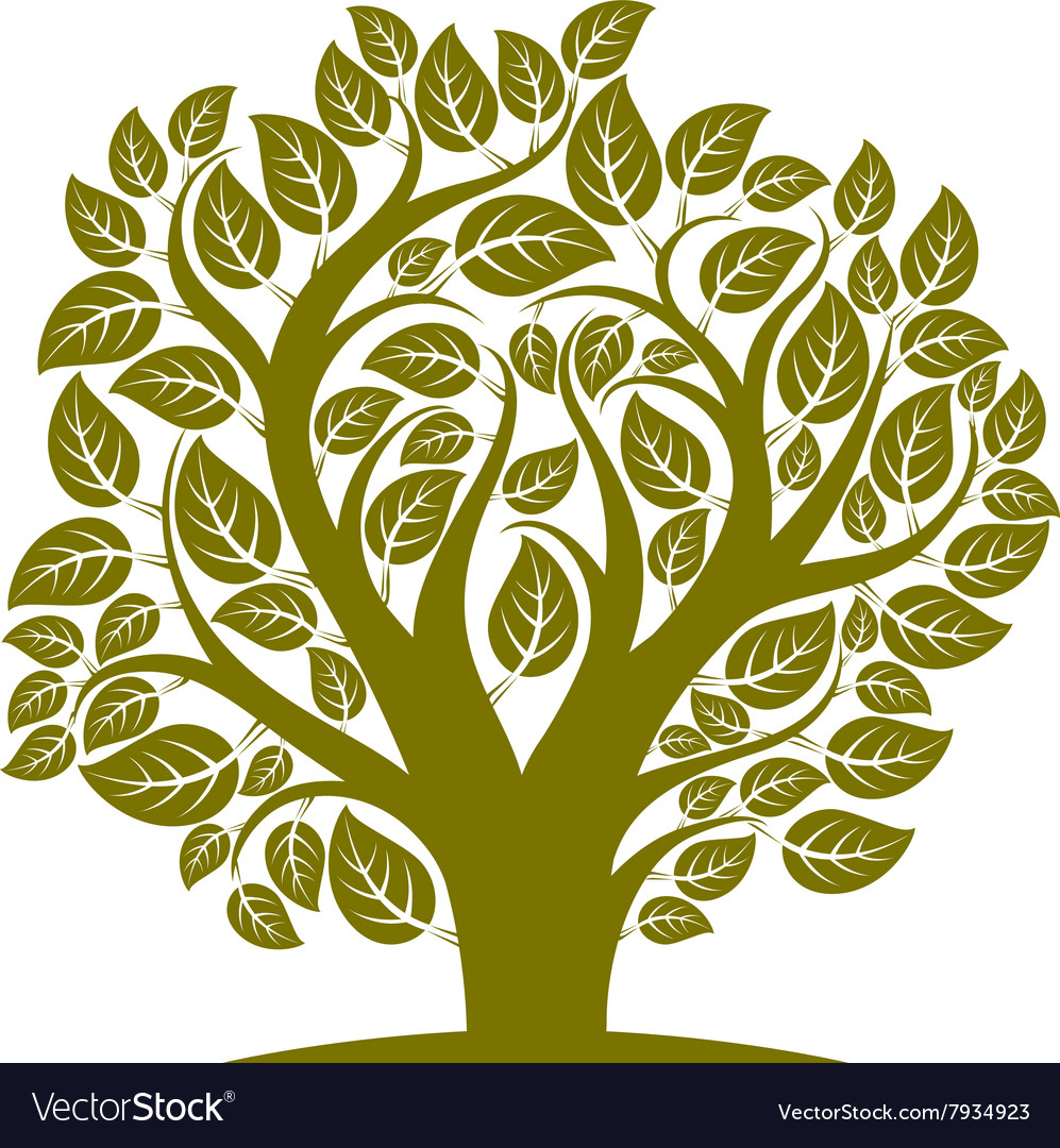 Tree with leaves and branches in the shap