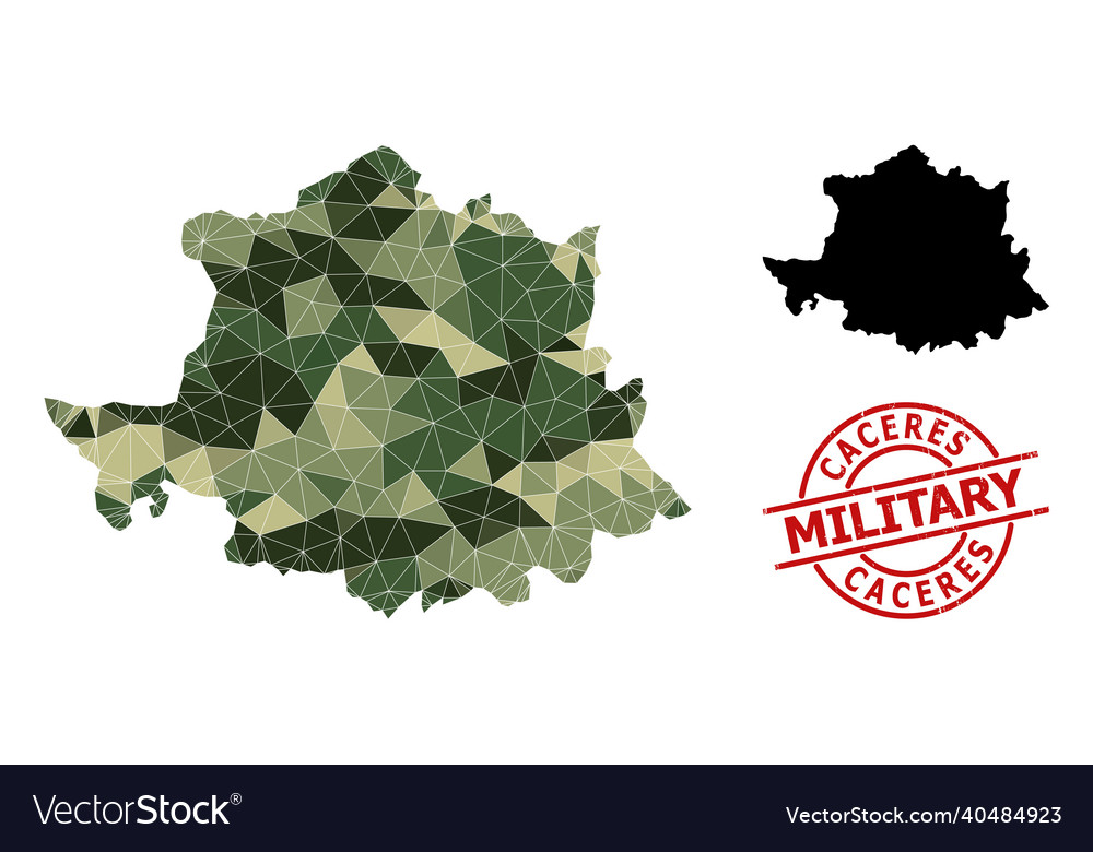 Triangulated mosaic map of caceres province Vector Image