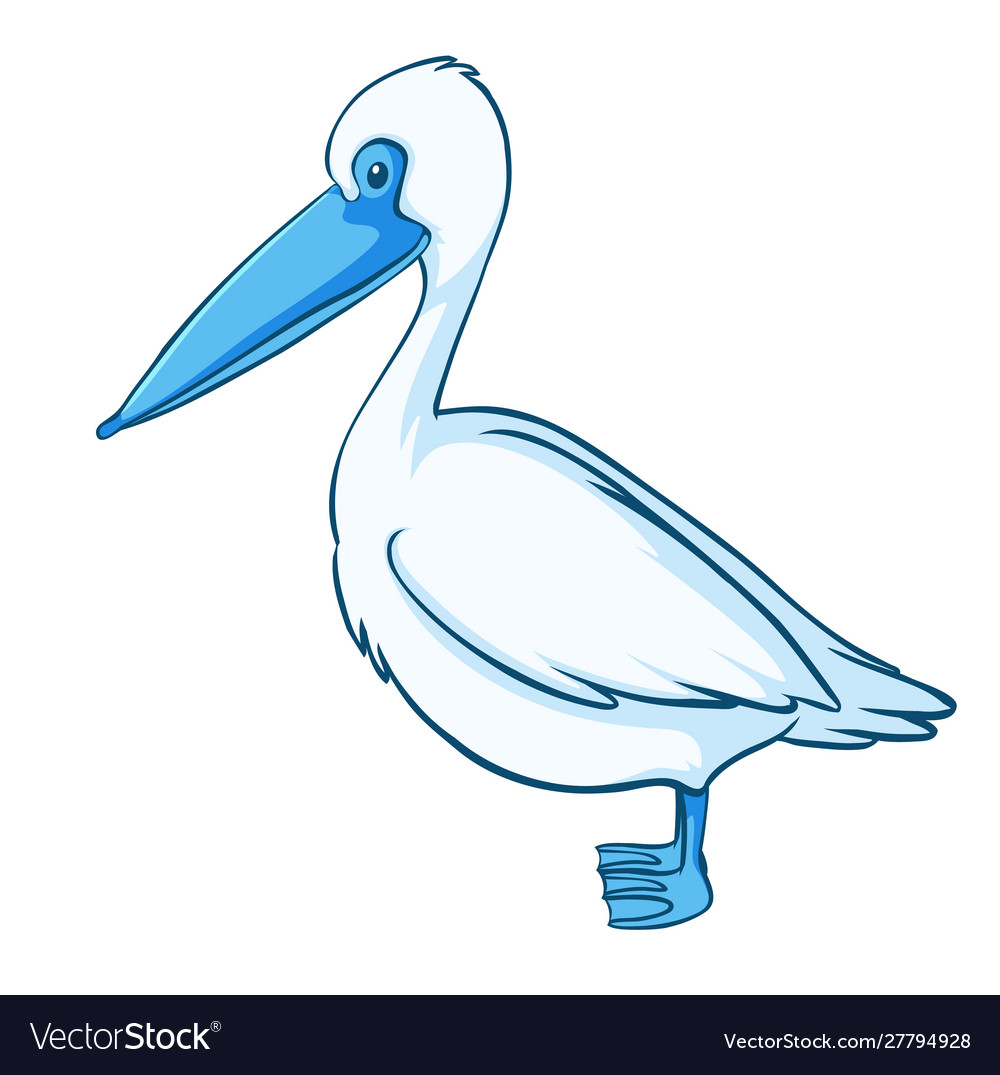 Blue pelican on white background