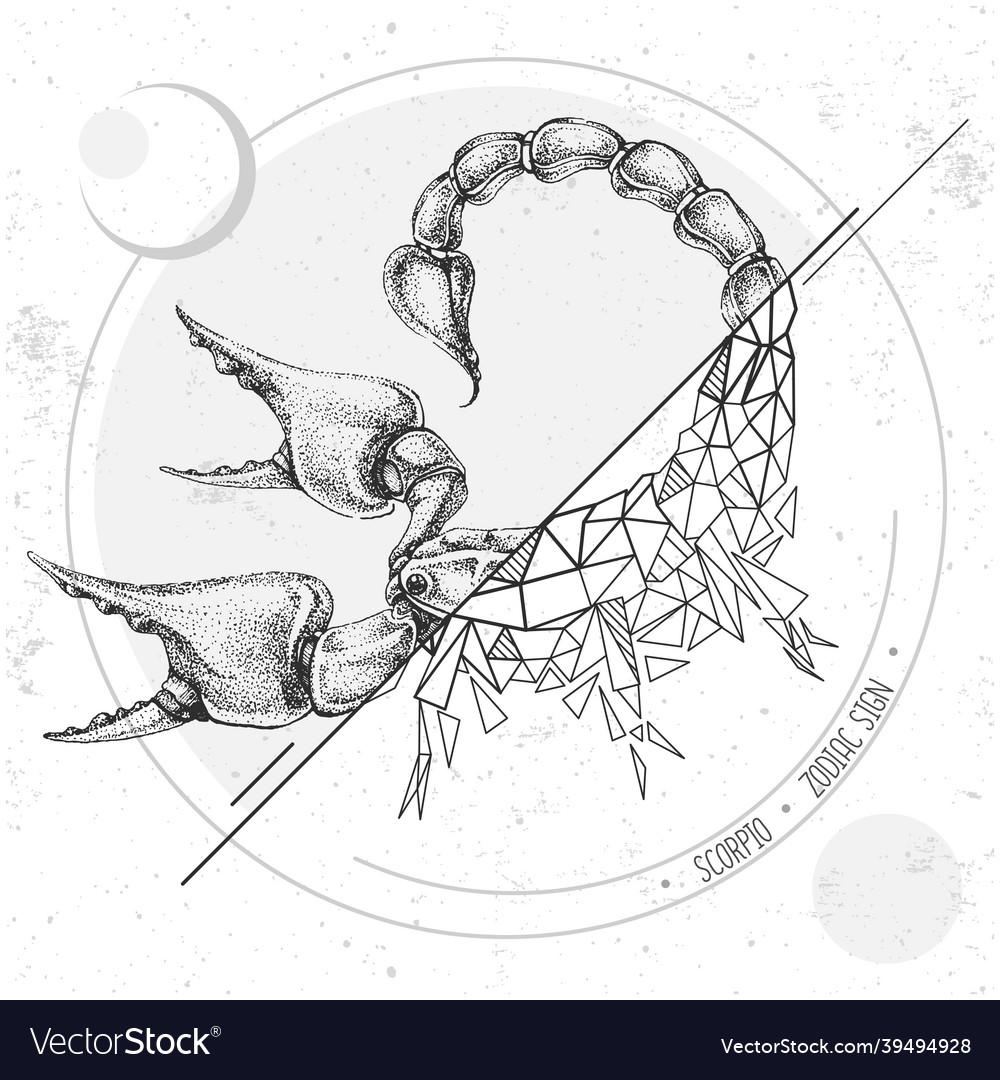 Magic card with astrology scorpio zodiac sign vector image Magic card with astrology scorpio zodiac sign