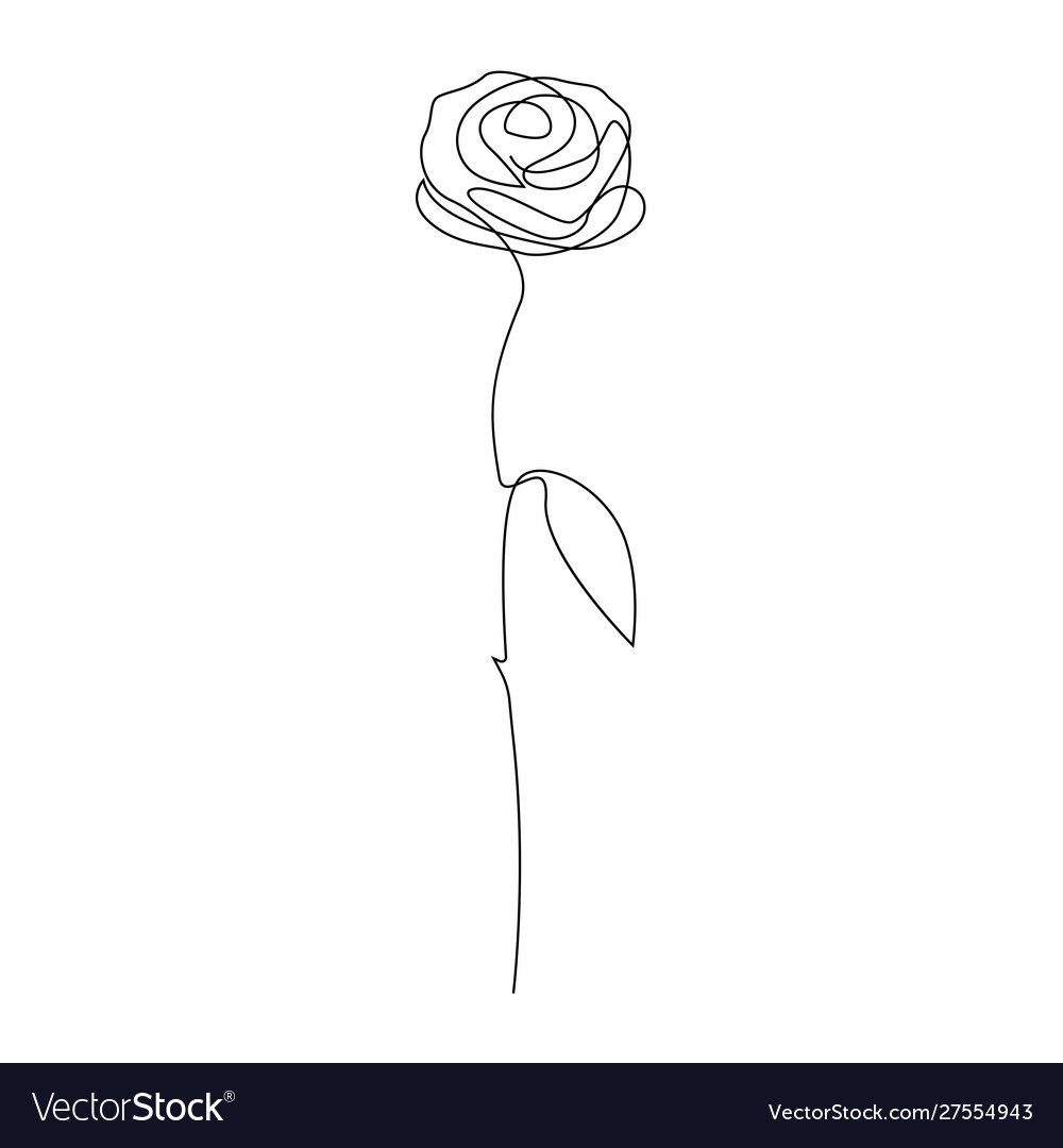 Single Line Rose Stem