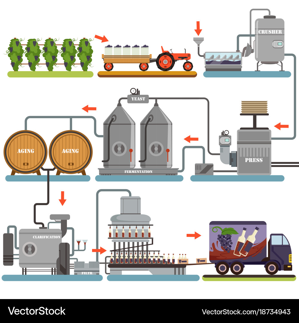 Wine production process beverage from Royalty Free Vector