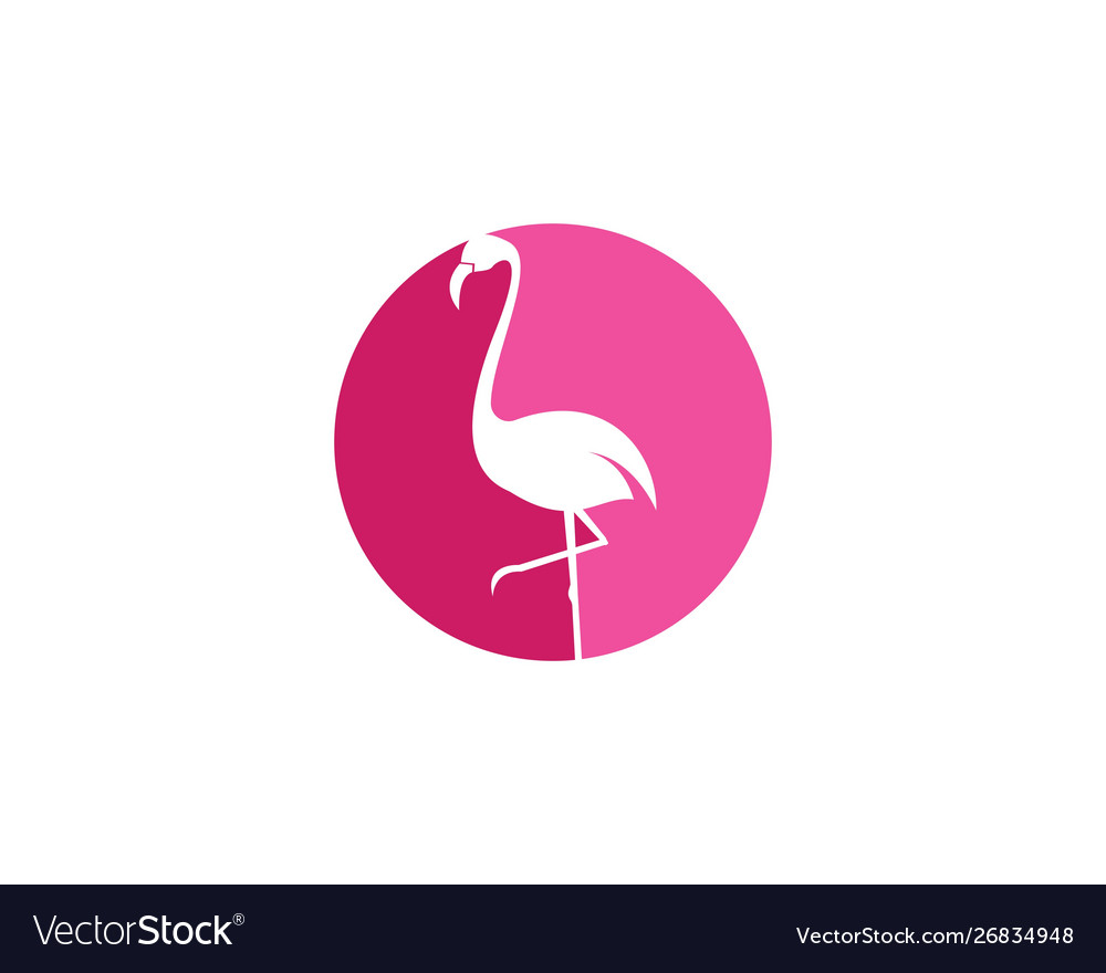 Flamingo logo Royalty Free Vector Image - VectorStock