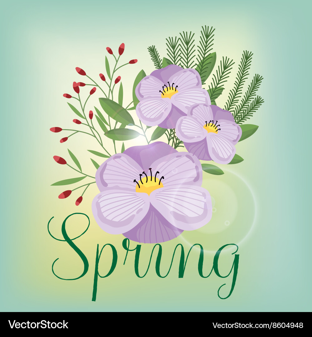 Flowers isolated Royalty Free Vector Image - VectorStock