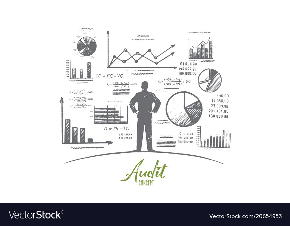 Audit concept hand drawn isolated