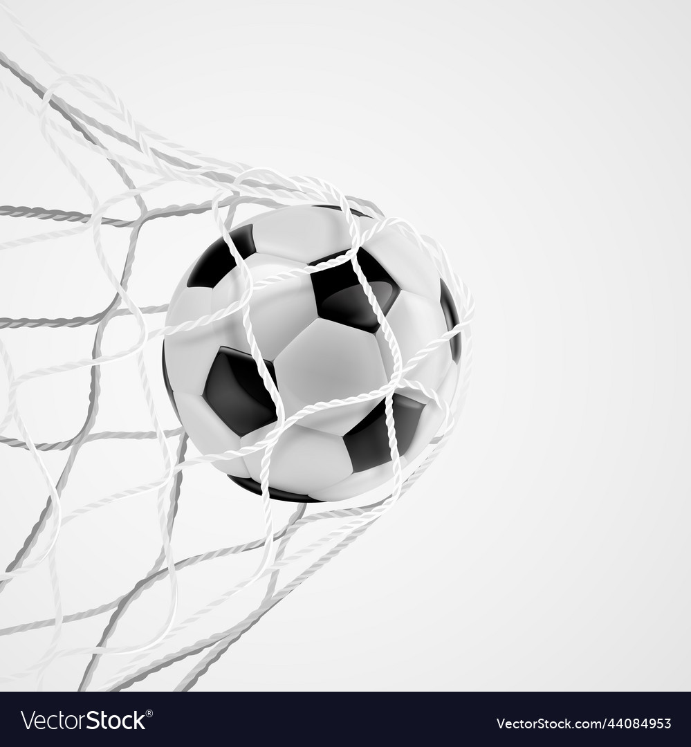 Realistic soccer ball in net isolated on white Vector Image