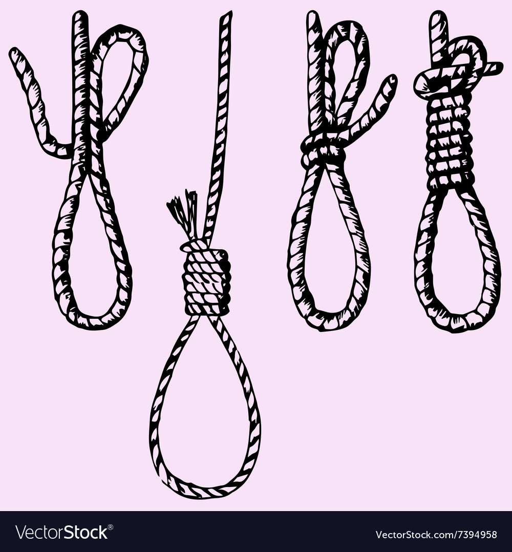 Noose rope Royalty Free Vector Image VectorStock