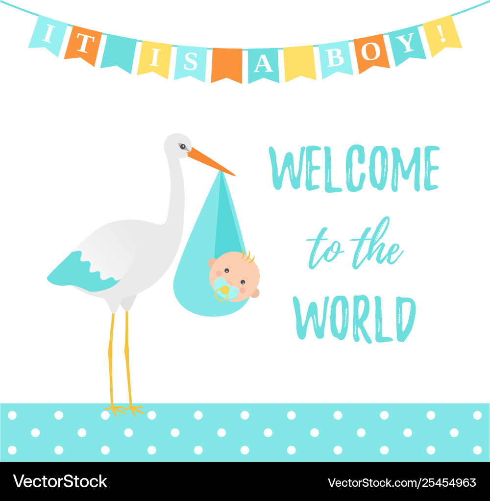 Bashower Boy Card Blue Banner With Stork Vector Image