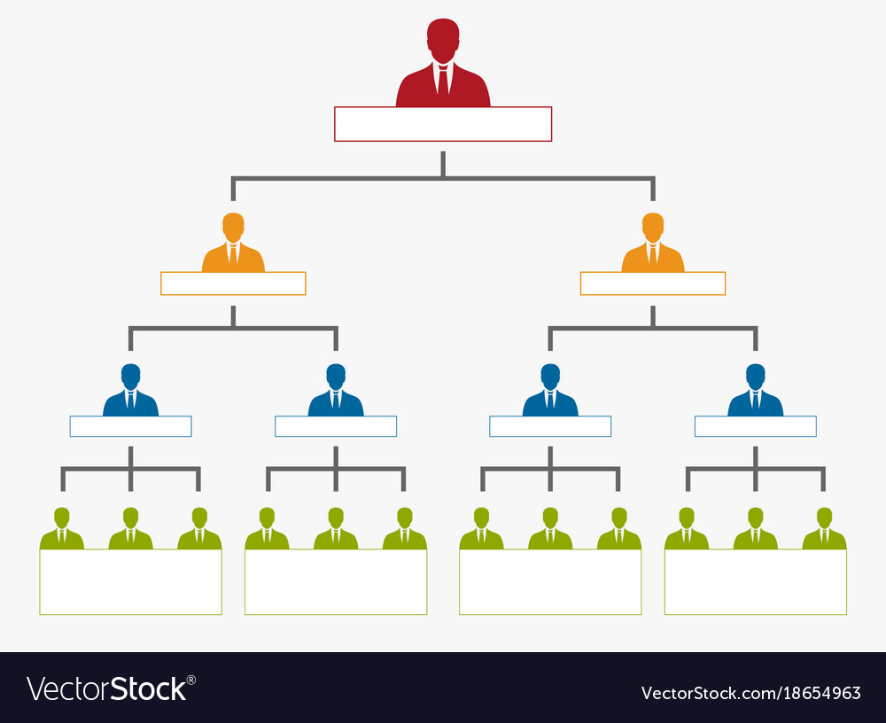 Hierarchy in company organization chart tree Vector Image