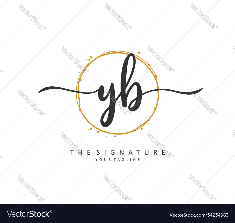 Y B Yb Initial Letter Handwriting And Signature Vector Image