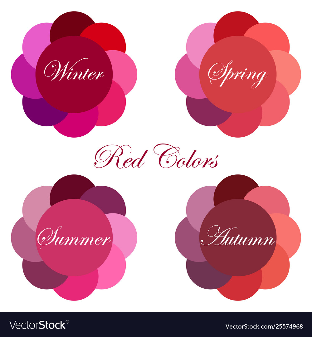 Seasonal color analysis palettes Royalty Free Vector Image