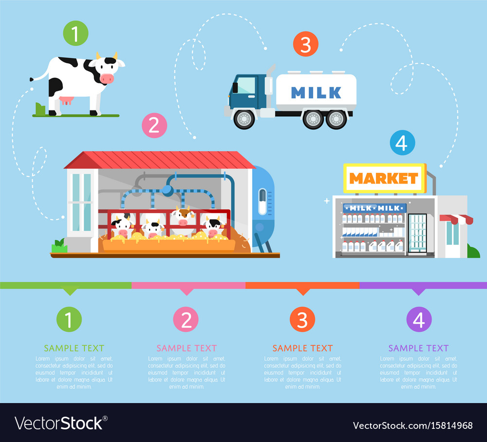 Stages of milk production infographics