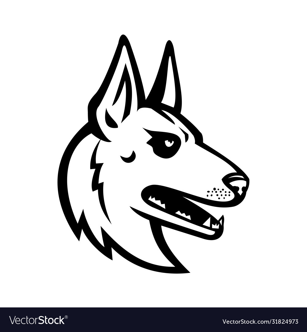 Belgian malinois belgian shepherd dog mascot Vector Image