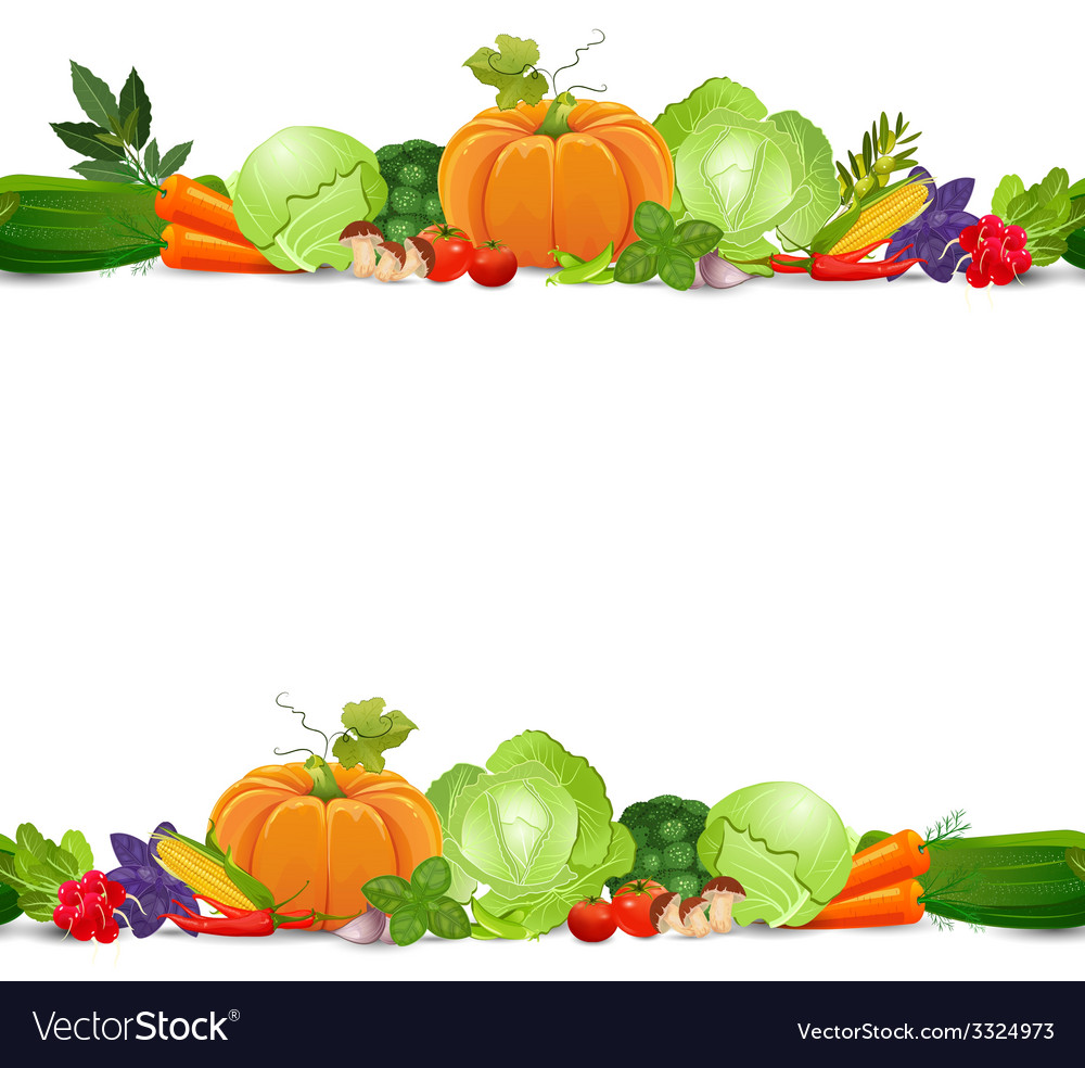 On The Border Nutrition Besto Blog
