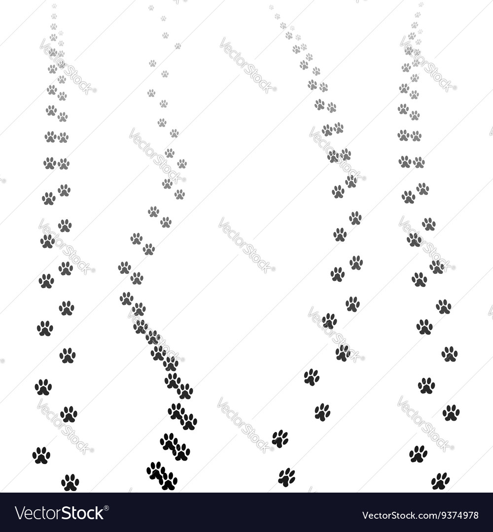 Paw prints silhouettes isolated Royalty Free Vector Image