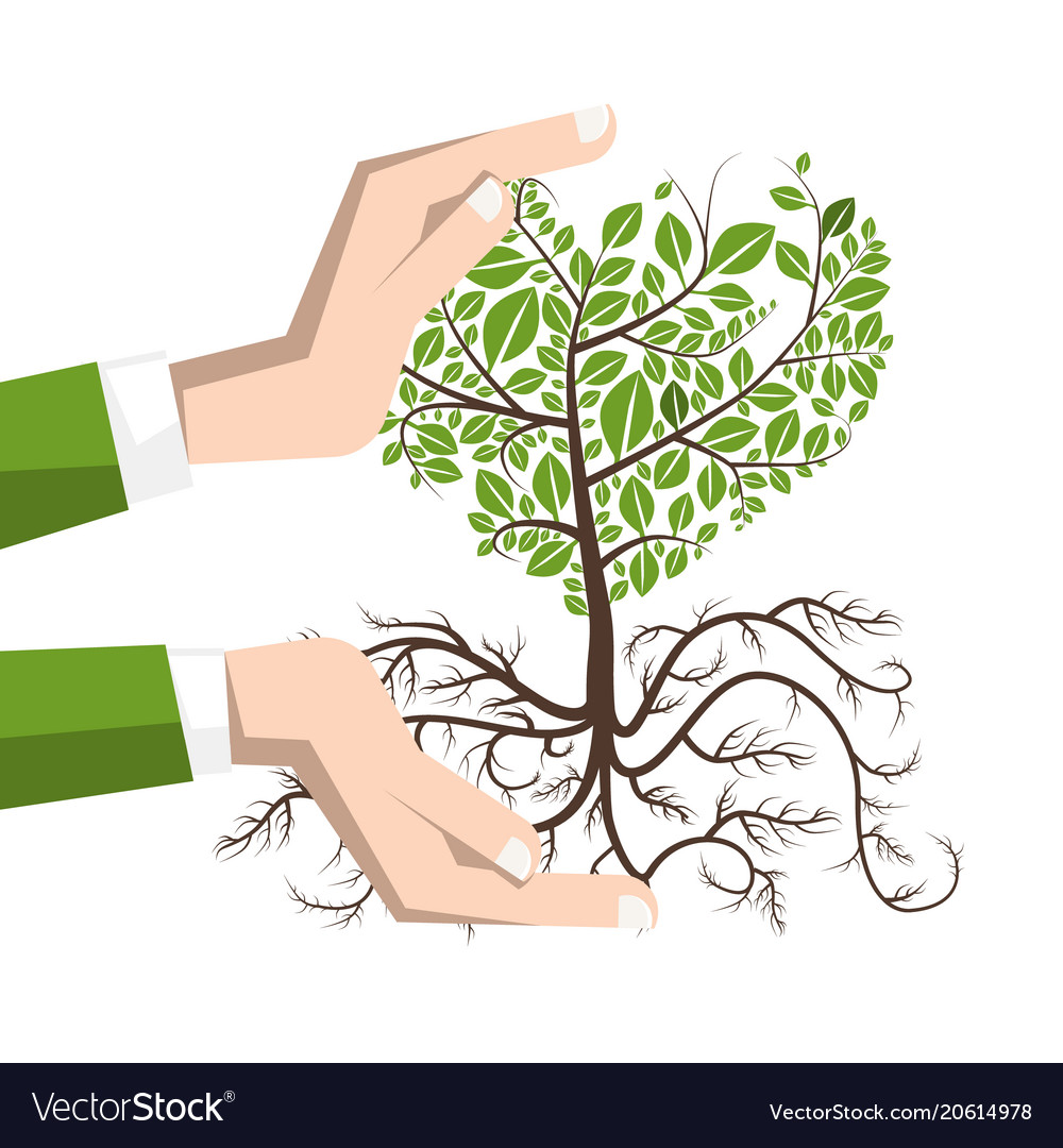 Planting a tree with roots plant in human hands