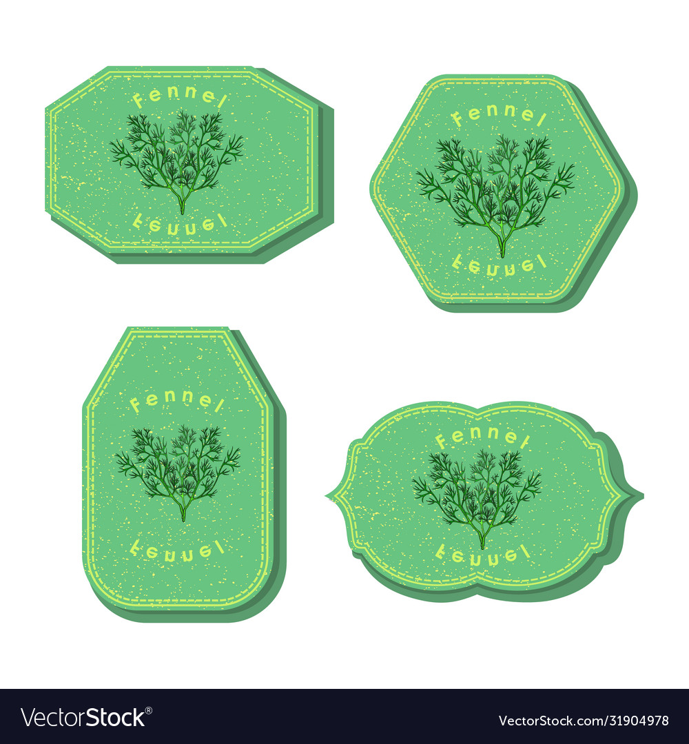 Set with four rectangular labels for fennel vector image Set with four rectangular labels for fennel