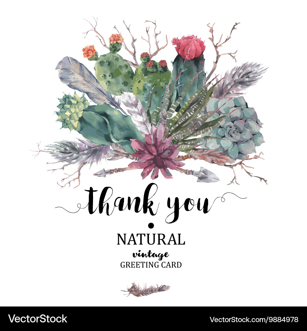 Thank You Card With Branches And Succulent Vector Image