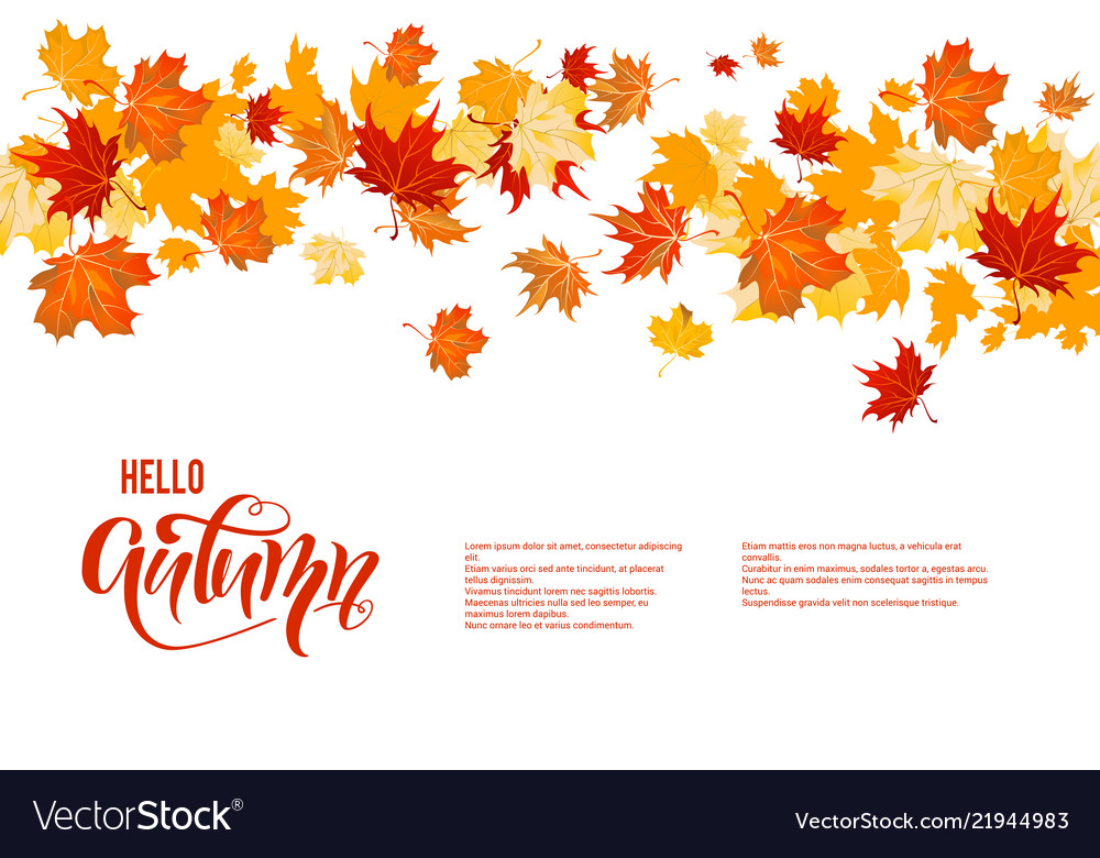 Autumn maple leaves decor