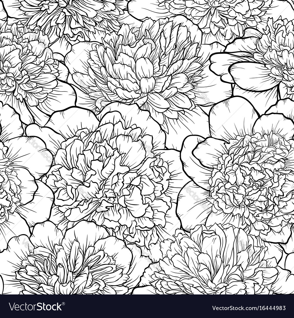 Beautiful monochrome black and white seamless Vector Image