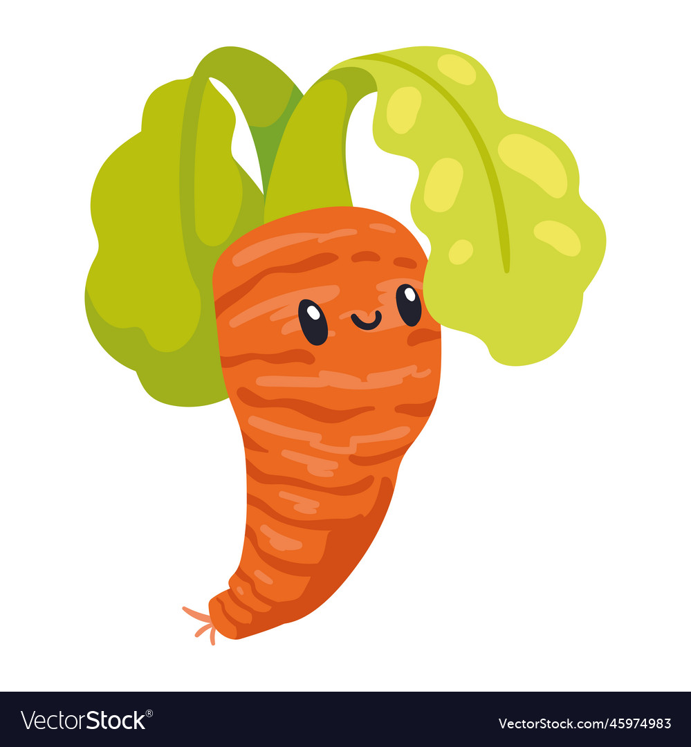 Carrot fresh vegetable character