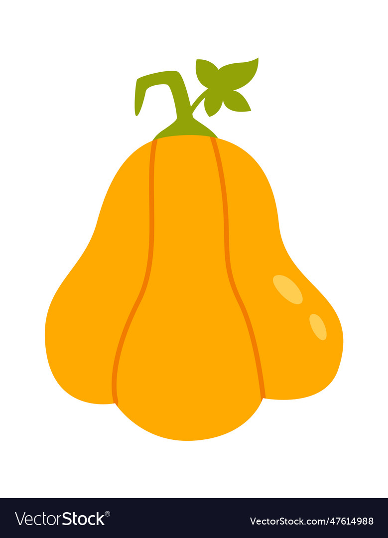 Ripe pumpkin vegetable