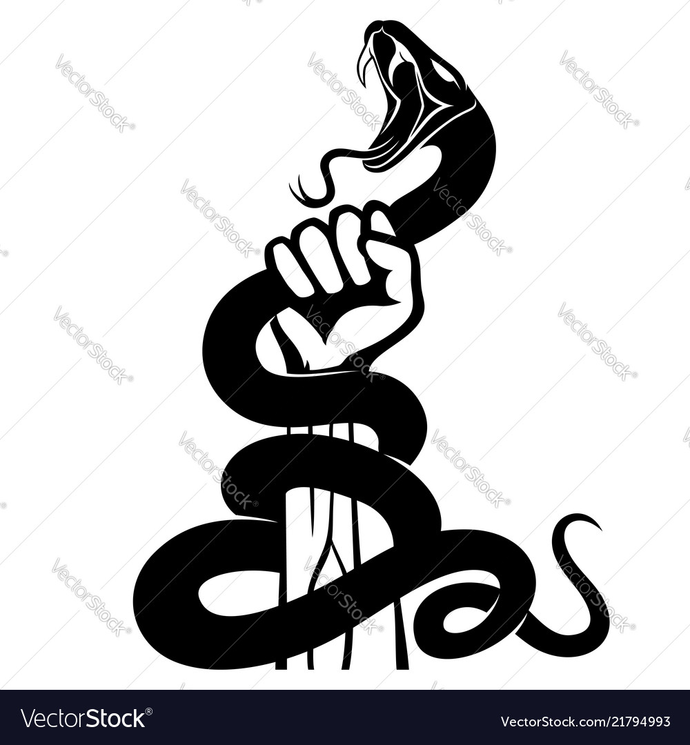 Black snake in hand Royalty Free Vector Image - VectorStock