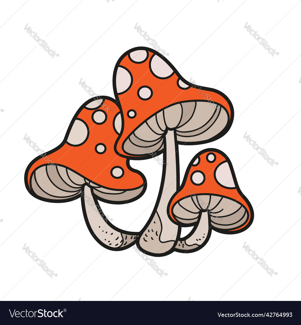 Poisonous fly agaric color variation for coloring