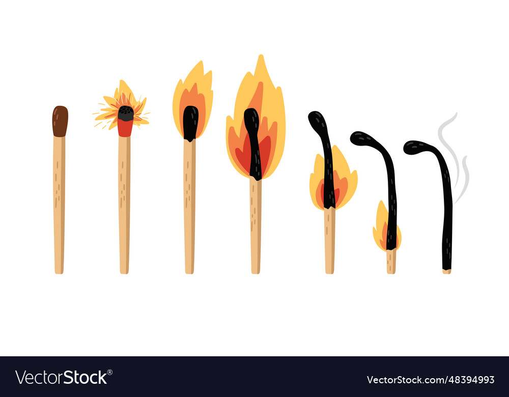 Set of burning match sequence steps combustion vector image Set of burning match sequence steps combustion
