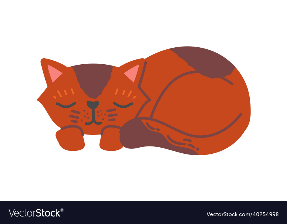 Brown cat sleep Royalty Free Vector Image - VectorStock