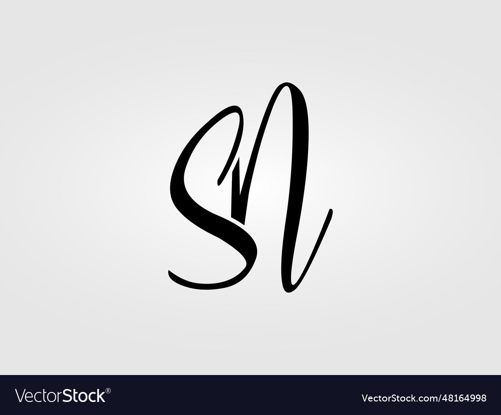 Initial sn letter logo design template monogram Vector Image