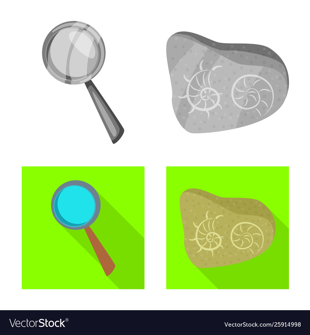 Isolated object story and items icon set vector image Isolated object story and items icon set