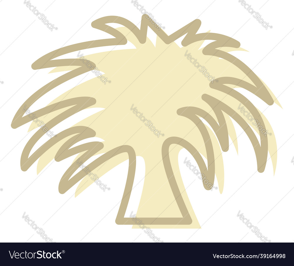 Small palm tree on a white background