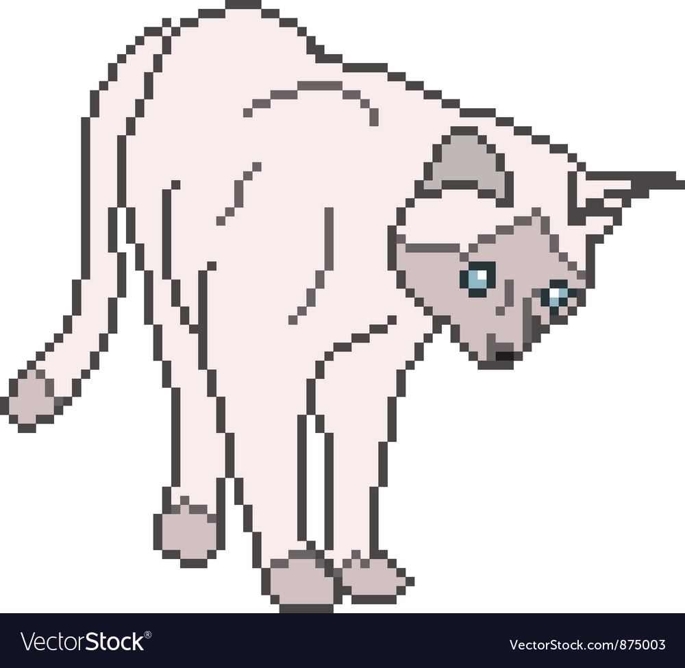 Pixel Katze isoliert auf weiß