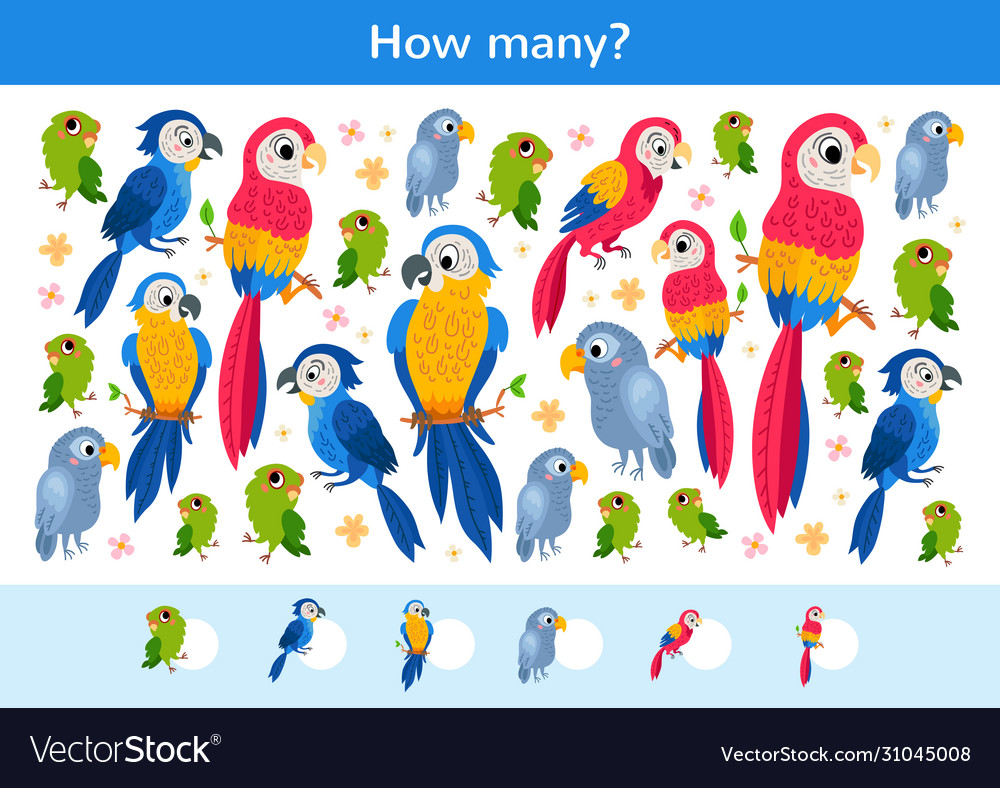 Counting children game a tropical parrots