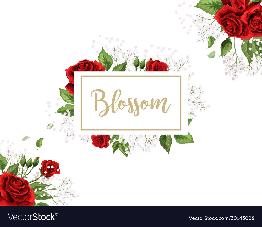 Red roses hand drawn elements colored Royalty Free Vector