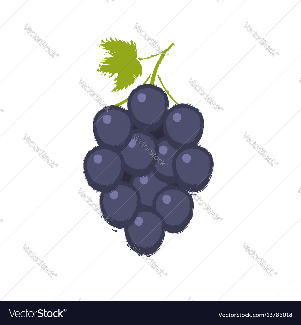 Bunche of grape