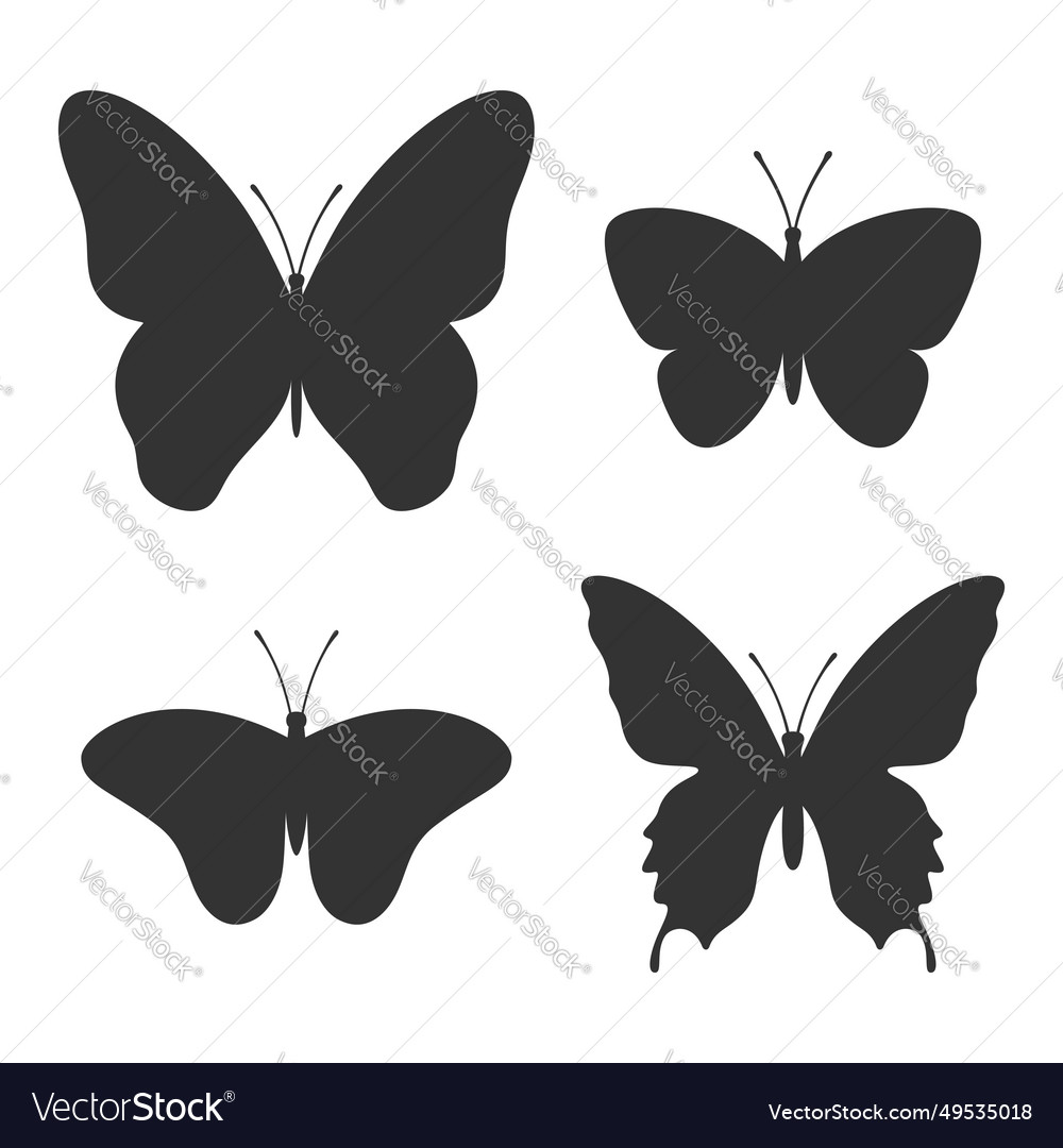 Butterflies Royalty Free Vector Image - VectorStock