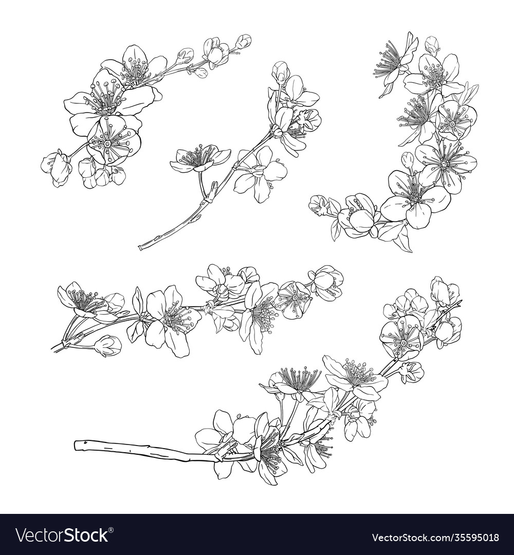 Collection hand drawn wreaths branches Royalty Free Vector