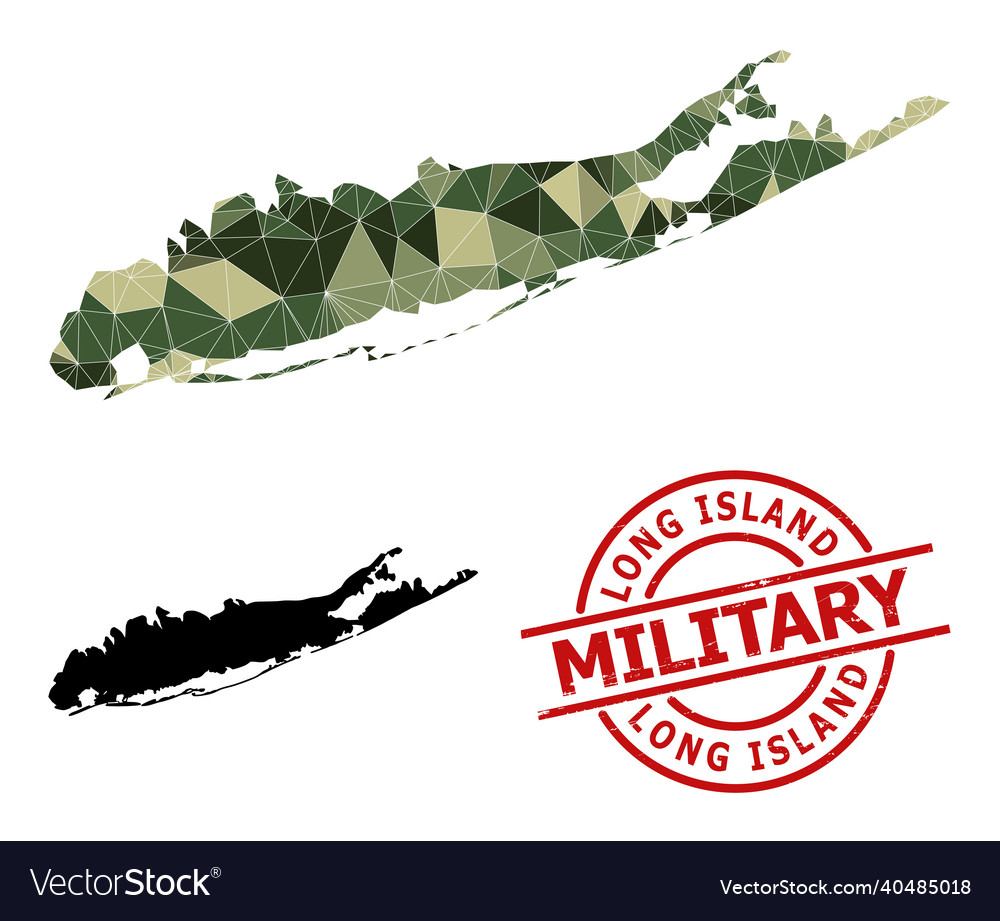 Polygonal mosaic map of long island and scratched Vector Image