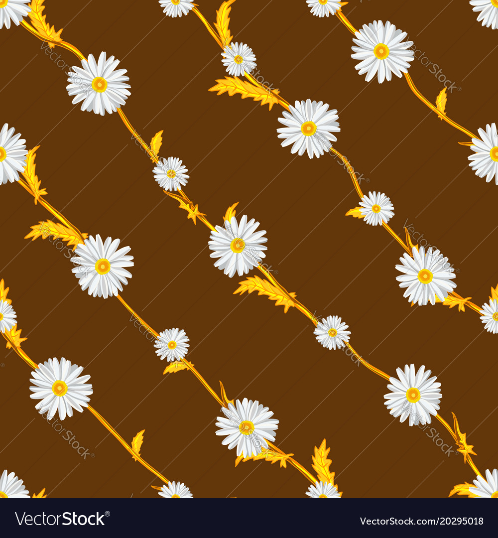 Seamless pattern from field chamomiles