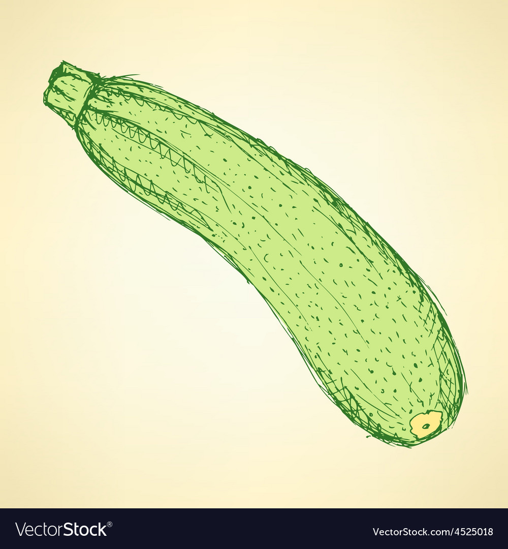 Sketch lecker Zucchini im Vintage-Stil