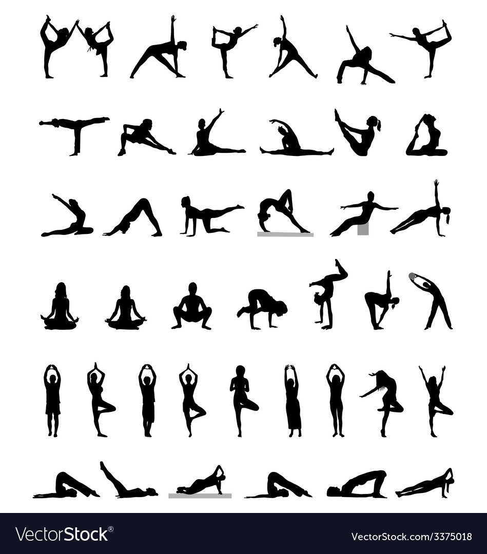 Yoga and fitness Royalty Free Vector Image - VectorStock