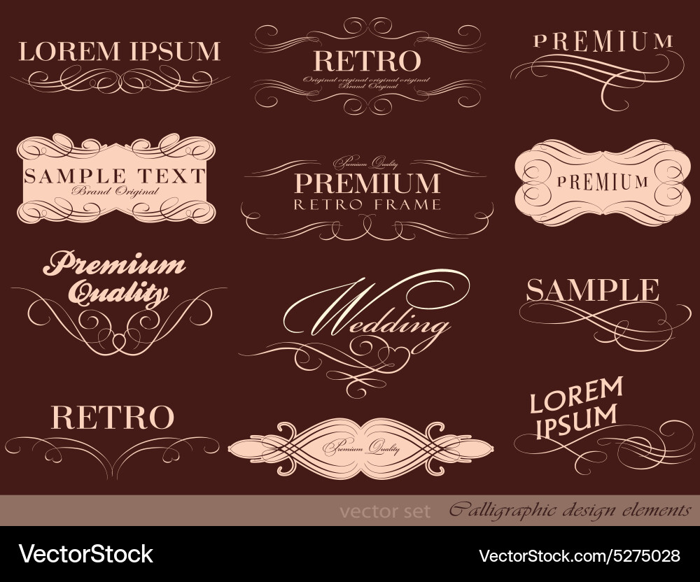 Calligraphic design elements Royalty Free Vector Image