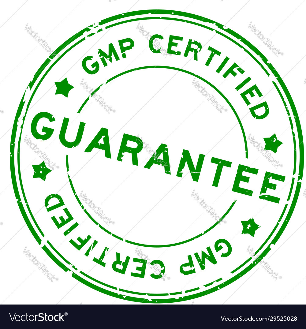 Grunge green gmp good manufacturing practice vector image Grunge green gmp good manufacturing practice
