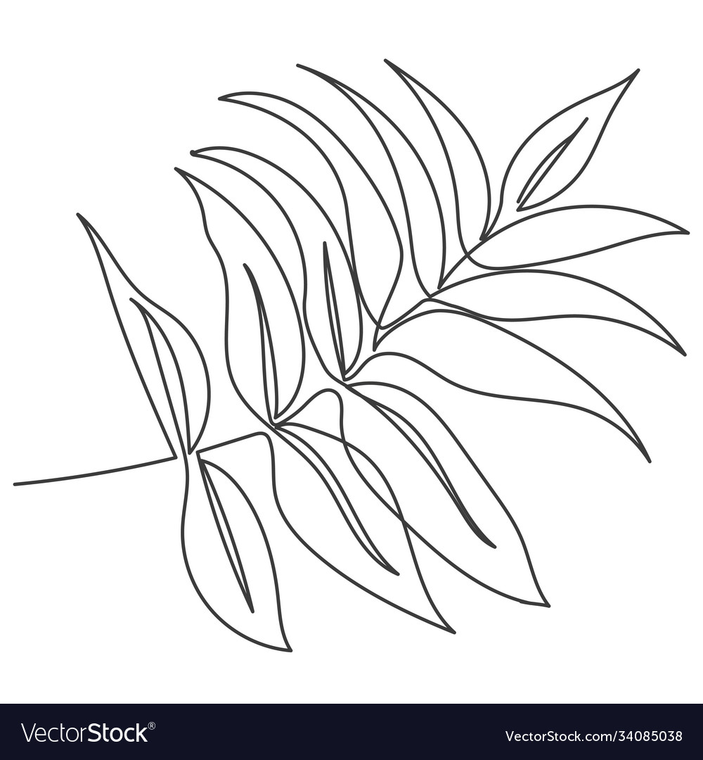 A plant drawn in one continuous line