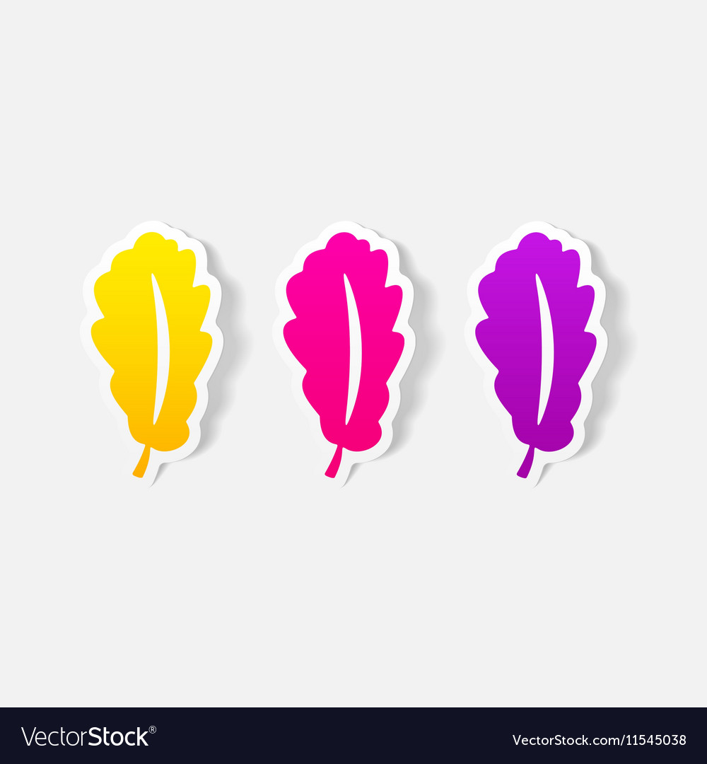 Realistic design element leaf Royalty Free Vector Image