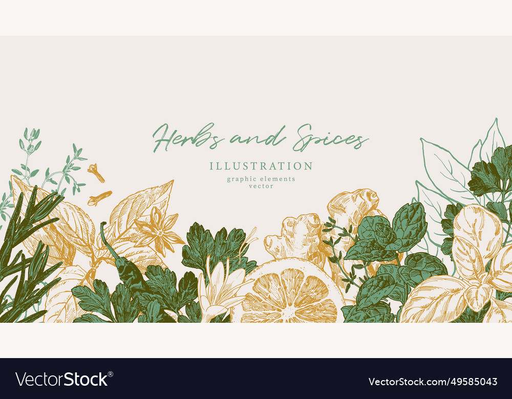 Herbs and spices horizontal banner