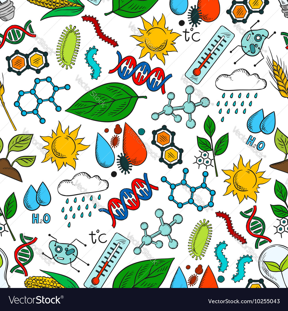 Nature ecosystem symbols seamless background Vector Image