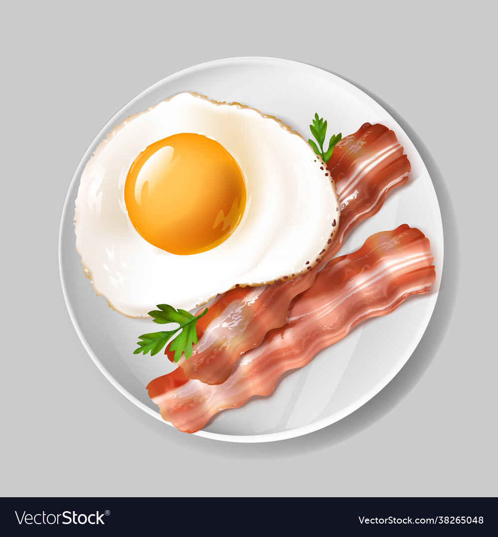 3d realistic english breakfast - bacon egg Vector Image